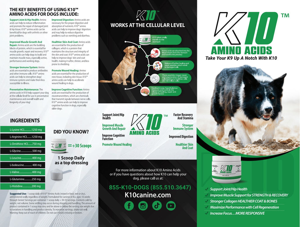 K10 Amino Acid Brochure